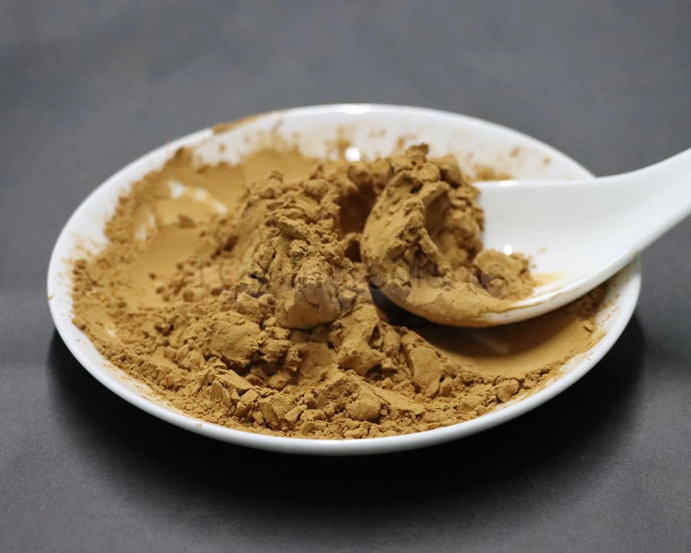 passion flower extract powder fine powder