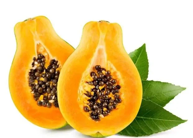Papain extract ra w material